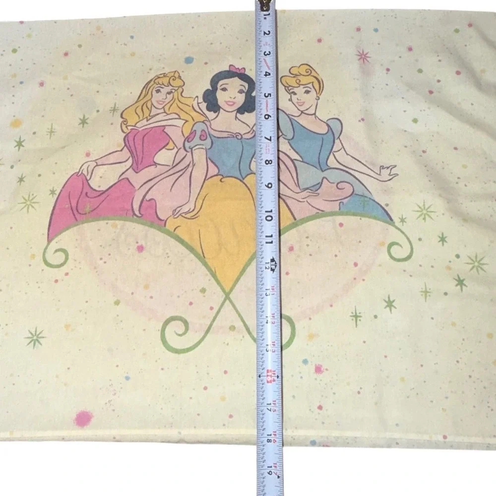 Disney home standard